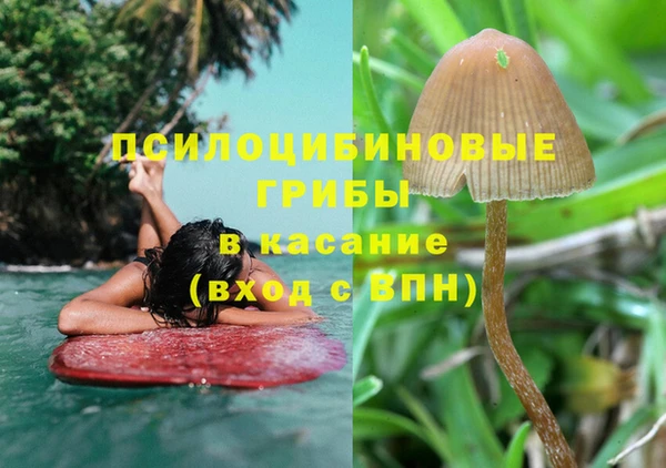 гашиш Белокуриха