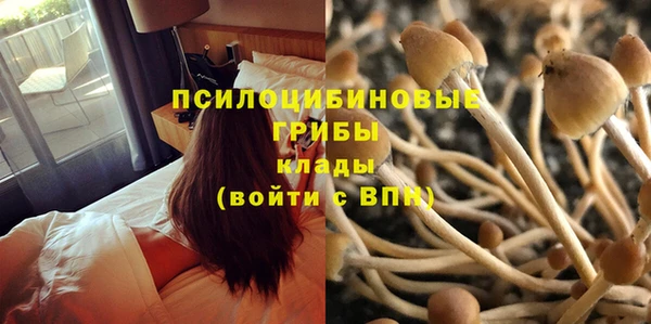не бодяженный Беломорск